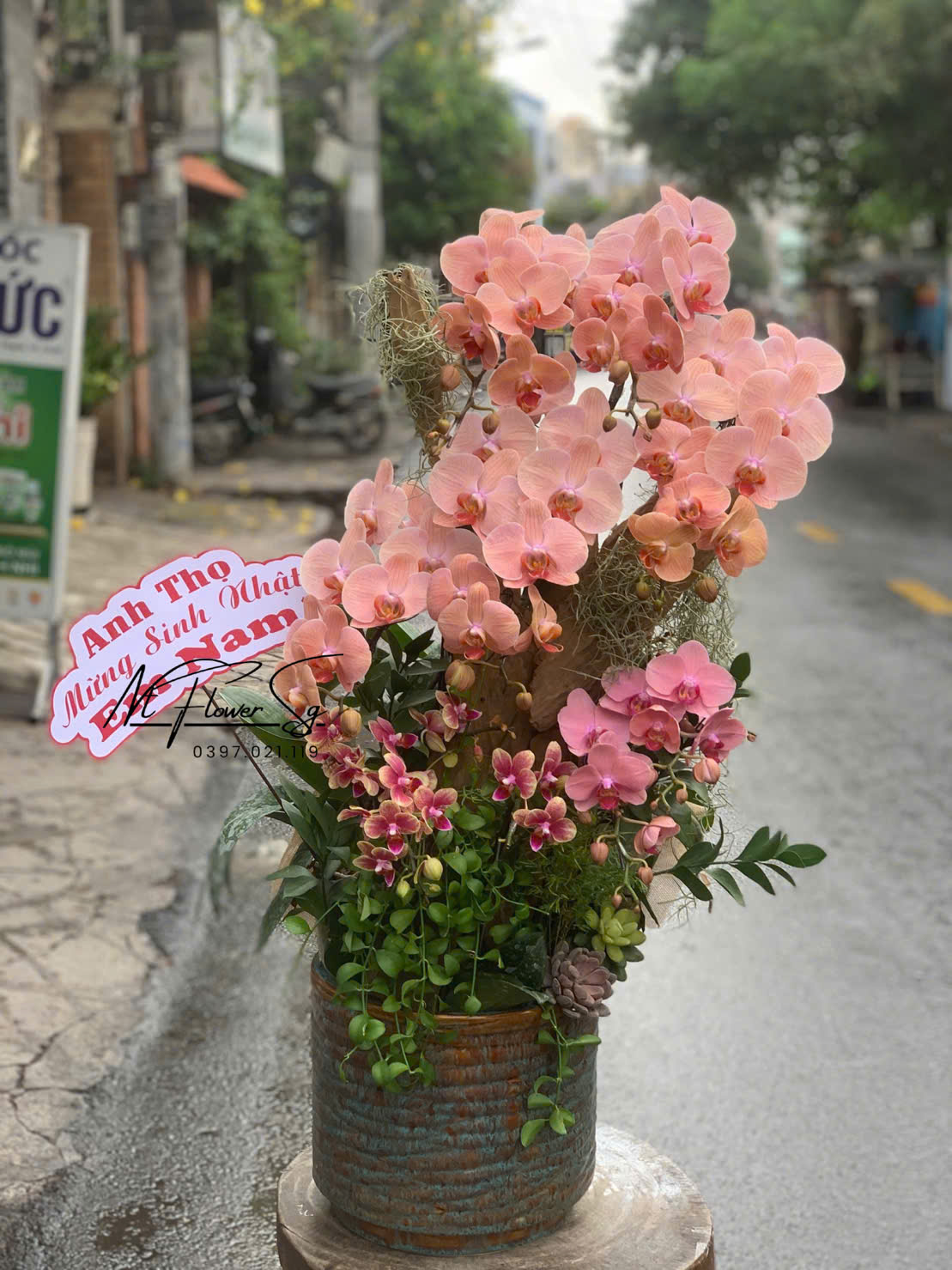 NT Flower: Địa Chỉ Tặng Lan Hồ Điệp Uy Tín, Đẹp Nhất Tại TP.HCM