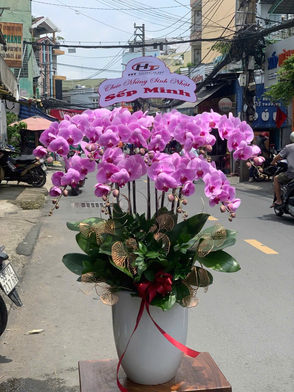Lan Hồ Điệp 005