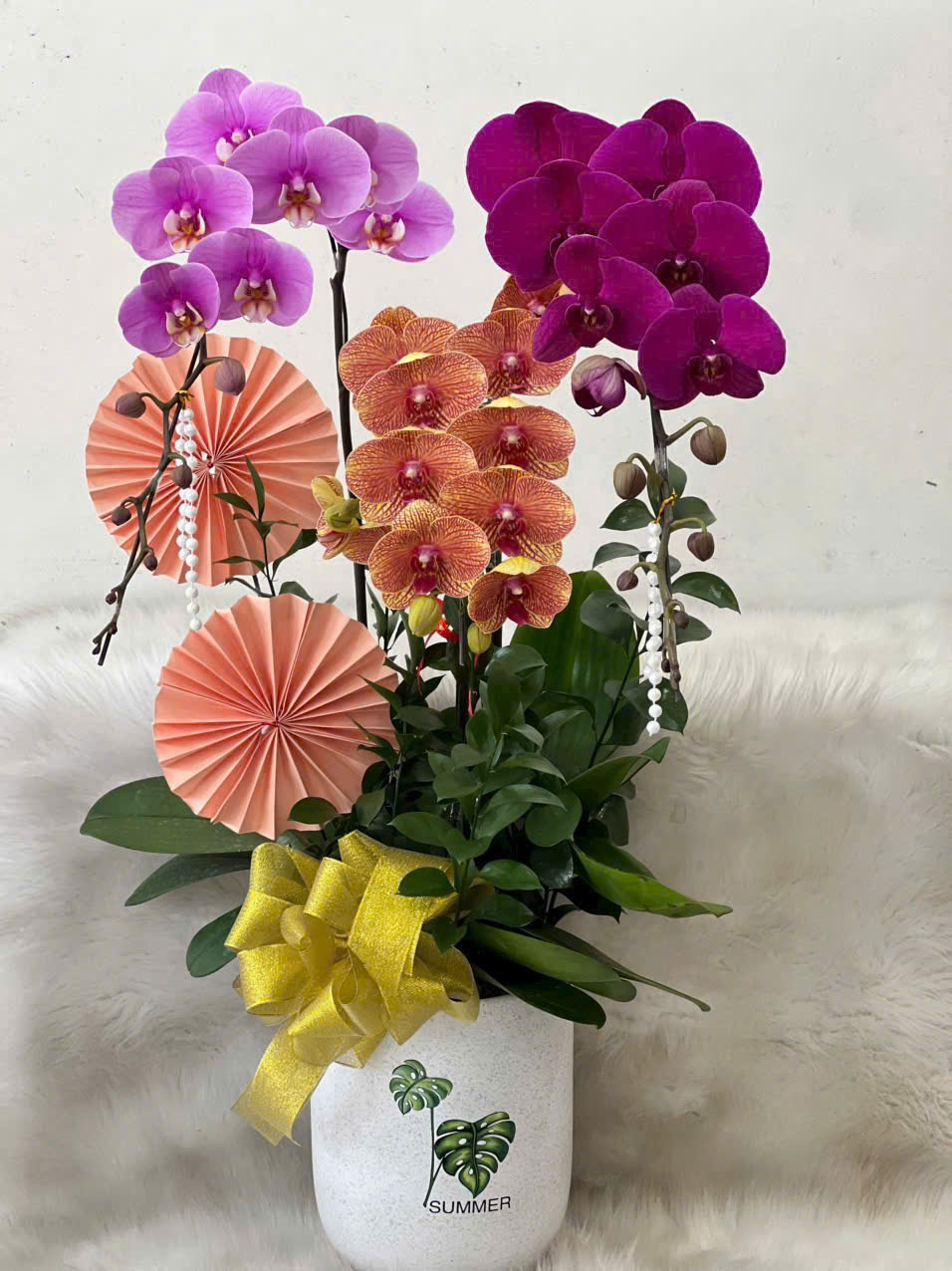 Lan Hồ Điệp 008