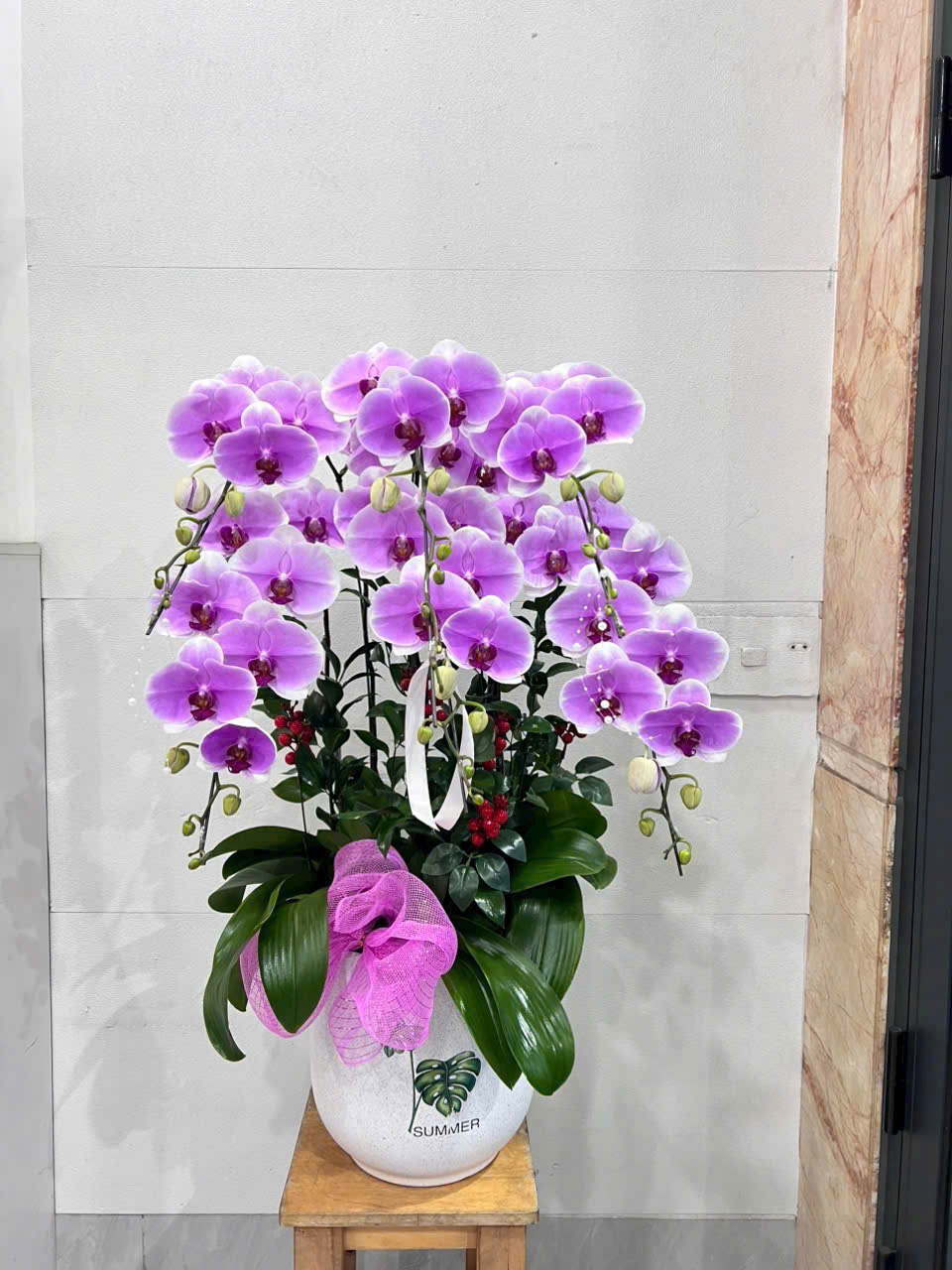 Lan Hồ Điệp 010