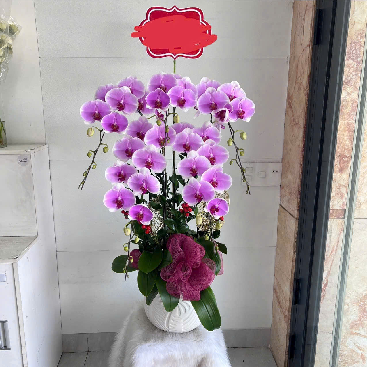 Lan Hồ Điệp 011